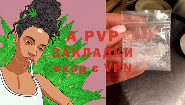 стафф Алексеевка